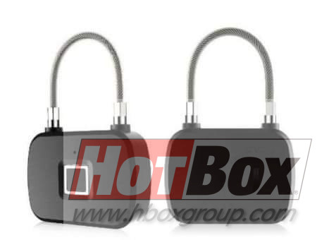 Fingerprint Lock Andowl Q-P63